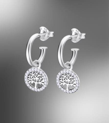 Pendientes de plata