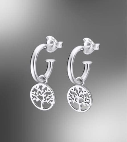 Pendientes de plata