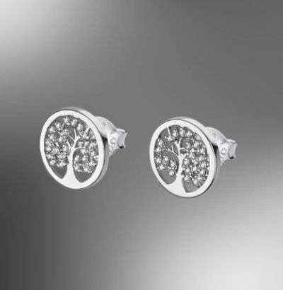 Pendientes de plata