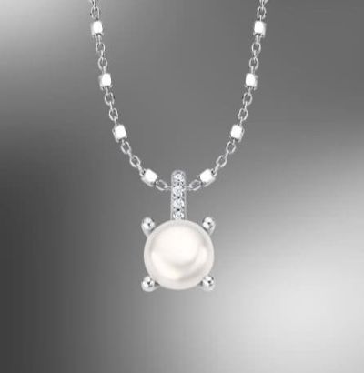 Colgante & Cadena Plata