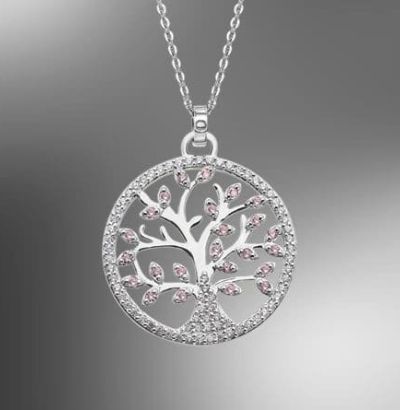 Colgante & Cadena Plata