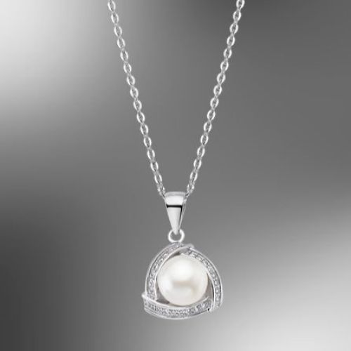 Colgante & Cadena Plata