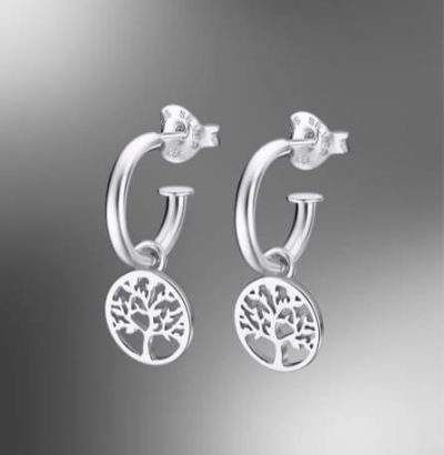 Pendientes de plata